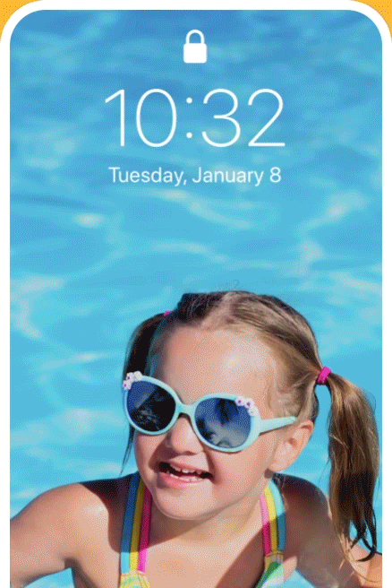 Notification